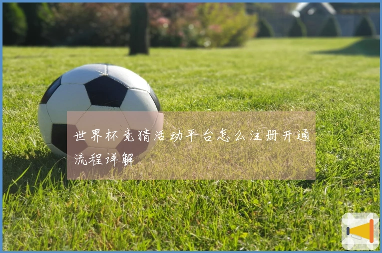 世界杯竞猜活动平台怎么注册开通流程详解