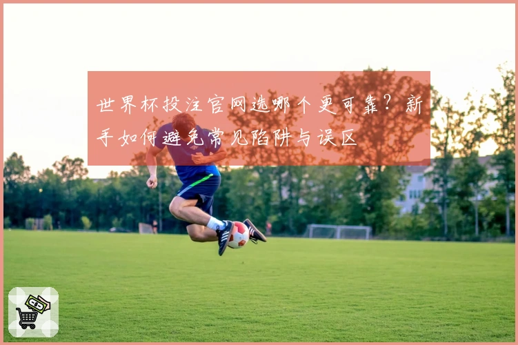 世界杯投注官网选哪个更可靠？新手如何避免常见陷阱与误区