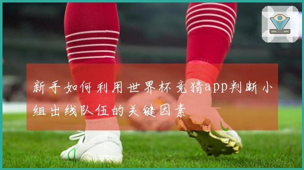 新手如何利用世界杯竞猜app判断小组出线队伍的关键因素