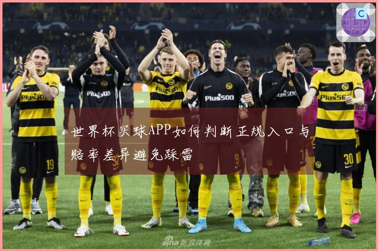 世界杯买球APP如何判断正规入口与赔率差异避免踩雷