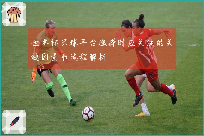 世界杯买球平台选择时应关注的关键因素和流程解析