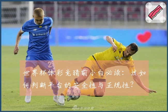 世界杯体彩竞猜前小白必读：该如何判断平台的安全性与正规性？