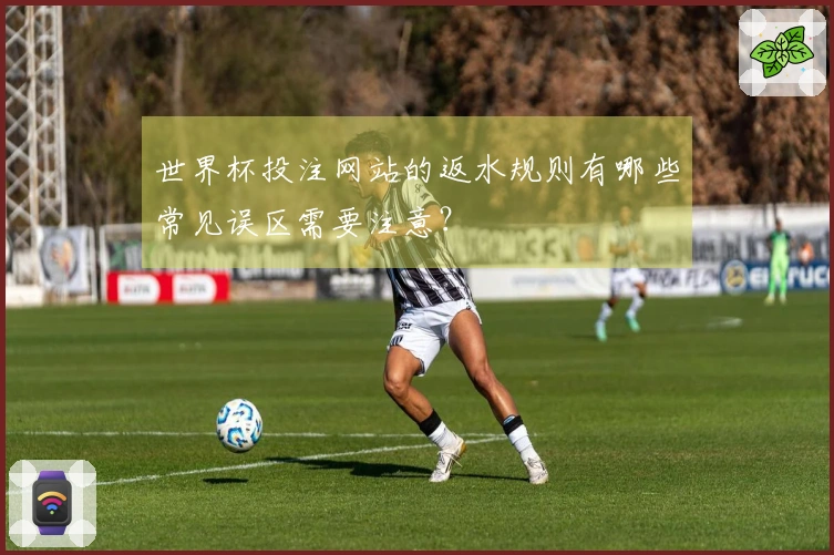 世界杯投注网站的返水规则有哪些常见误区需要注意？