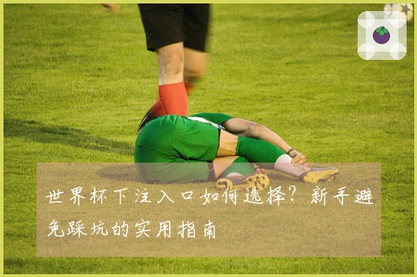 世界杯下注入口如何选择？新手避免踩坑的实用指南