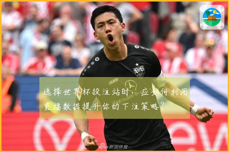 选择世界杯投注站时，应如何利用直播数据提升你的下注策略？
