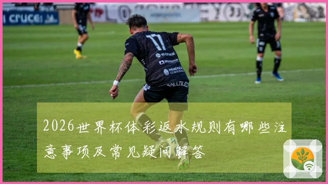 2026世界杯体彩返水规则有哪些注意事项及常见疑问解答