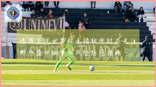选择正规世界杯竞猜软件时应关注哪些盘口细节和风险防范措施