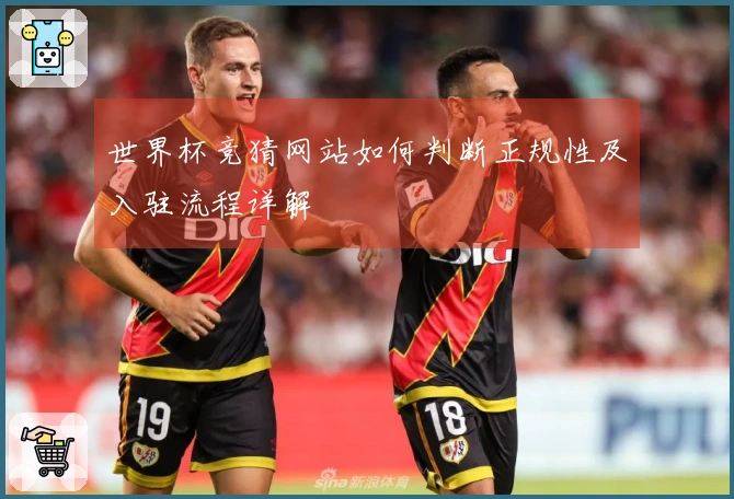 世界杯竞猜网站如何判断正规性及入驻流程详解