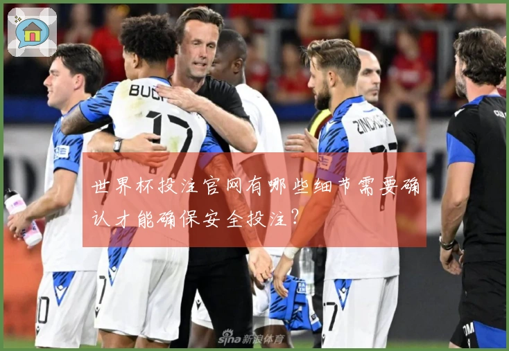 世界杯投注官网有哪些细节需要确认才能确保安全投注？