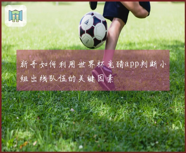 新手如何利用世界杯竞猜app判断小组出线队伍的关键因素