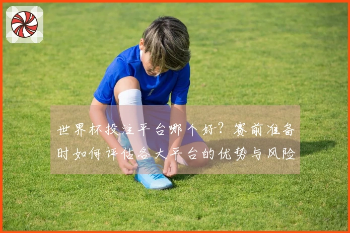 世界杯投注平台哪个好？赛前准备时如何评估各大平台的优势与风险