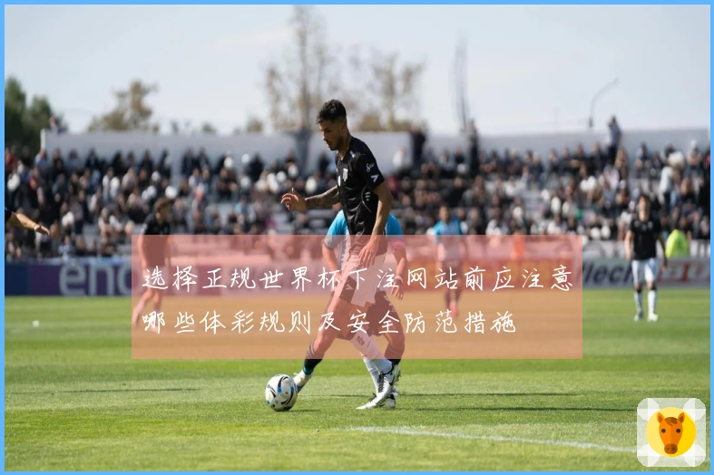 选择正规世界杯下注网站前应注意哪些体彩规则及安全防范措施
