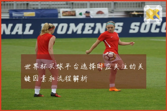 世界杯买球平台选择时应关注的关键因素和流程解析