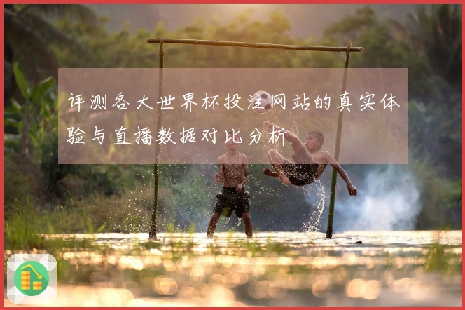 评测各大世界杯投注网站的真实体验与直播数据对比分析